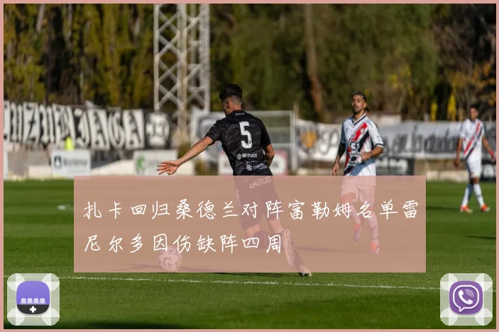 扎卡回归桑德兰对阵富勒姆名单雷尼尔多因伤缺阵四周