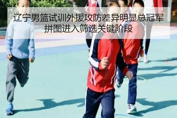 辽宁男篮试训外援攻防差异明显总冠军拼图进入筛选关键阶段